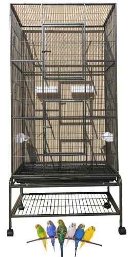 Large flight bird - x-large,