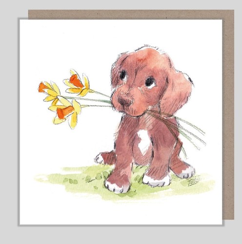 Puppy birthday card - birthday,