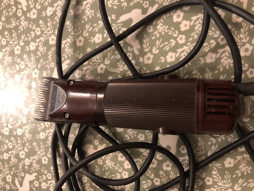 Oster golden clippers - golden, a5