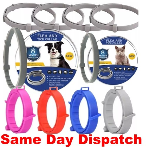 New adjustable anti - flea, and