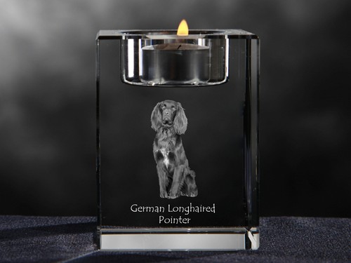 German longhaired pointer - longhaired,