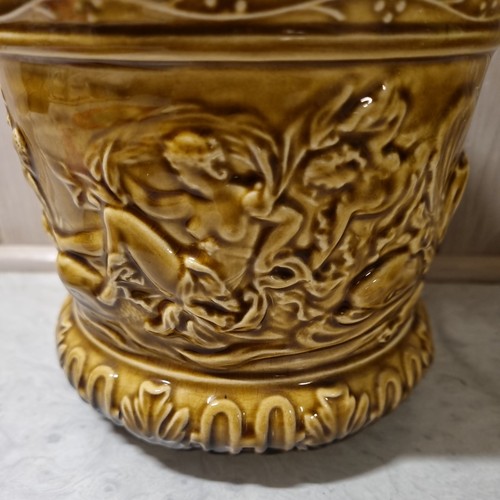 Vintage mustard slyvac plant - slyvac,