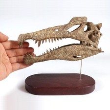 Spinosaurus Dinosaur Statue