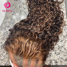 Highlight Wig Curly Human Hair