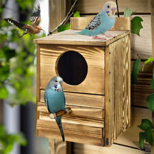 Screech Owl House Owl Bird Box