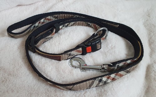 Wainwright dog s best - (dog's,