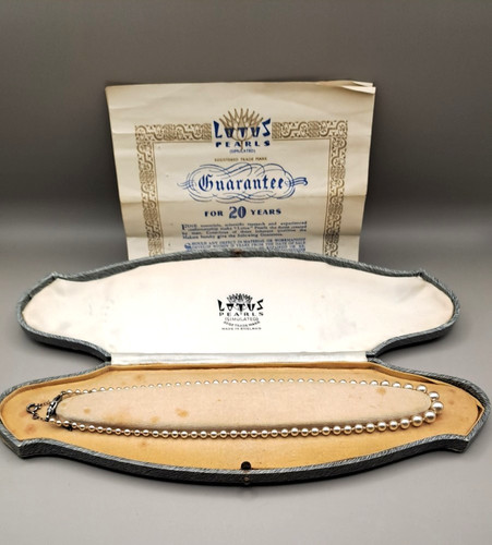 Vintage lotus simulated - vintage,