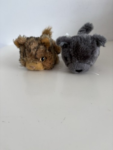 The cat artlist collection - x,