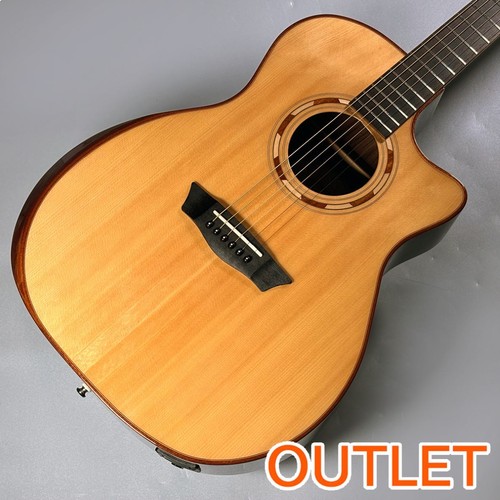 Washburn g20sce nat - g20sce, (no251209)