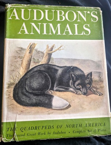 Audubon animals 1st - audubon's,