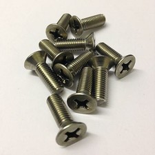 Classic Mini Door Hinge screws