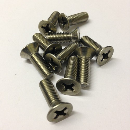 Classic mini door - hinge, screws