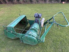 Ransome Mastiff 36 inch