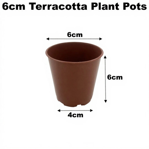 6cm plant pots terracotta - pots,