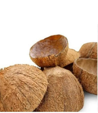 Raw Coconut Shells | New  |