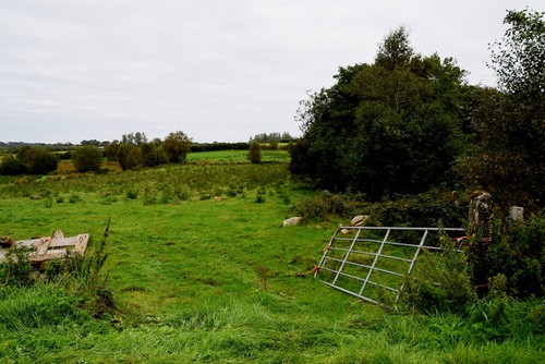 Photo 6x4 open field - 6x4, an