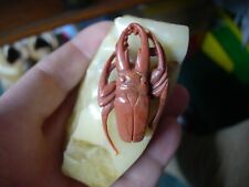 stag beetle fine carving red