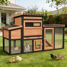 Outdoor Wooden Rabbit Hutch