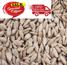 20 KG Sunflower Hearts Wild