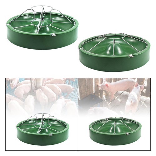 Pig feed trough - feed,