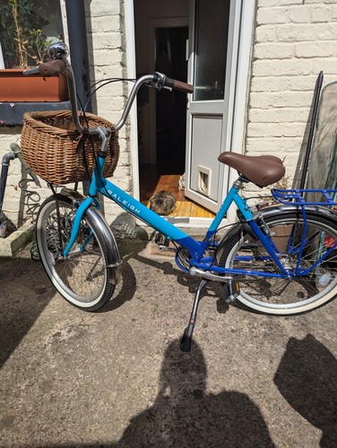 Raleigh hoppa bike blue - raleigh,