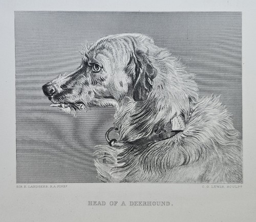 Vintage landseer scottish - landseer,