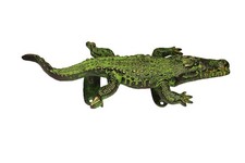 Crocodile Alligator Shape