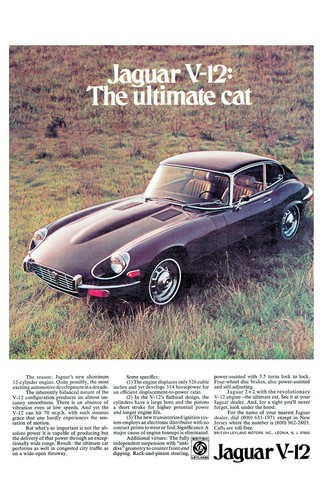 Jaguar type xke v12 - e-type,