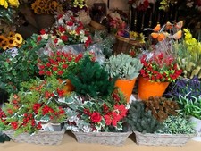 15x Joblot Christmas Flowers
