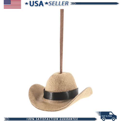 Western cowboy hat car - car, hanging