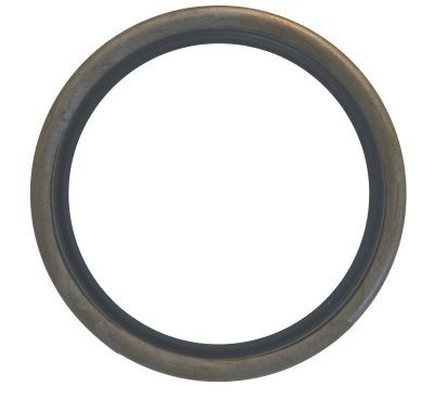 Steering knuckle seal ring - steering,