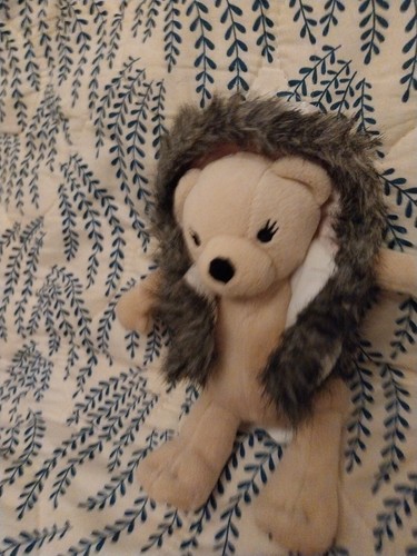 Bhs teddy bear silver coat - teddy,