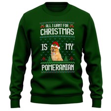 Festive Pomeranian Adults