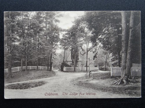 Surrey elmbridge cobham - cobham, the