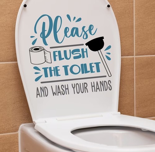 Flush toilet wash - toilet, rules