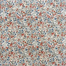 Cotton Fabric - Blue & Red