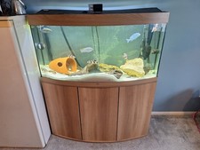 Juwel 350 tank - full, with