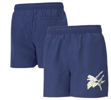 Puma Summer Men's Shorts Blue Graphic Shorts - New
