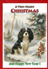 Cavalier King Charles Spaniel