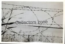 1947  Egypt El Ballah military Base barbed Wire Fence Photo 3.25 x 2.25 In
