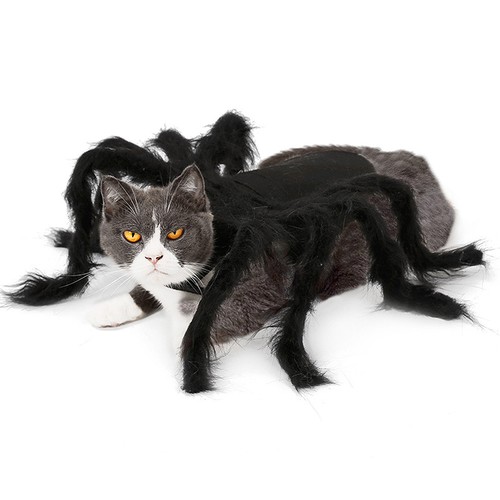 Halloween plush spider - halloween,
