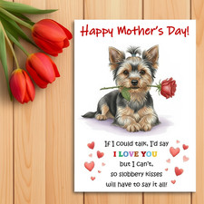 Yorkshire Terrier – Yorkie