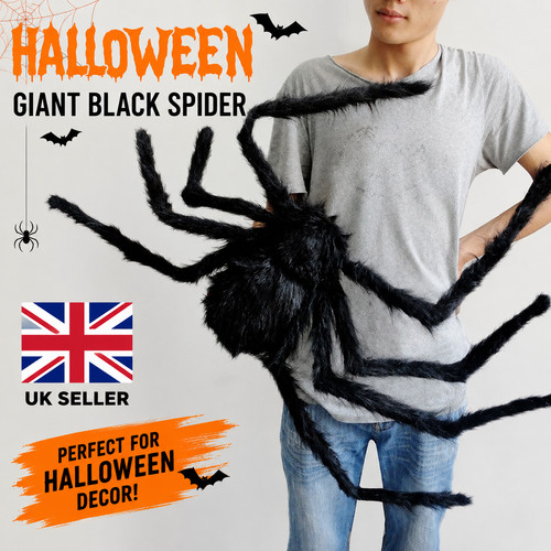 Large black halloween spider - halloween,