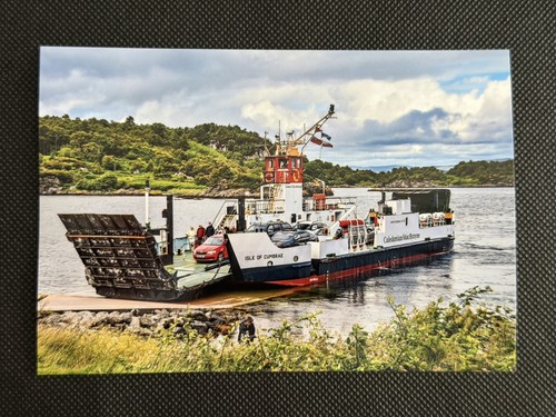 6x4 print caledonian macbrayne - print,