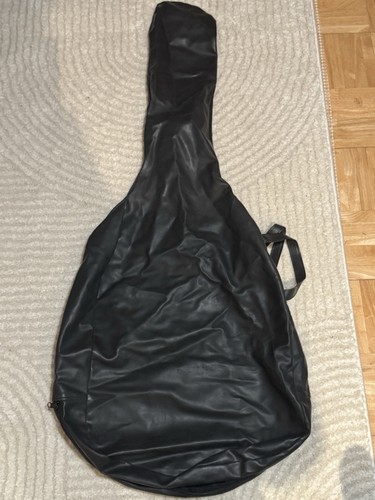 Guitar bag - guitar,