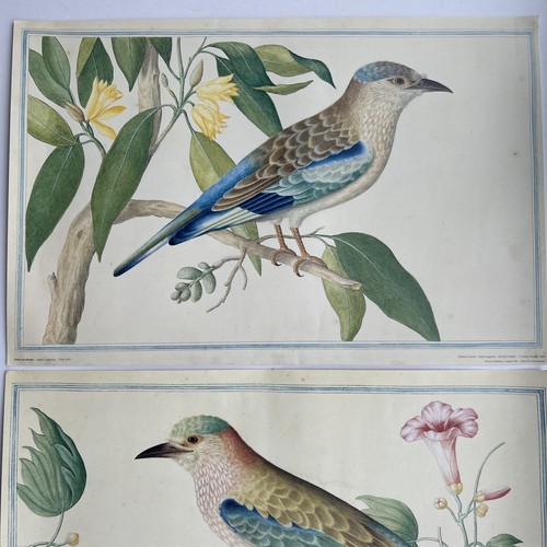 Vintage set jay prints - vintage, x