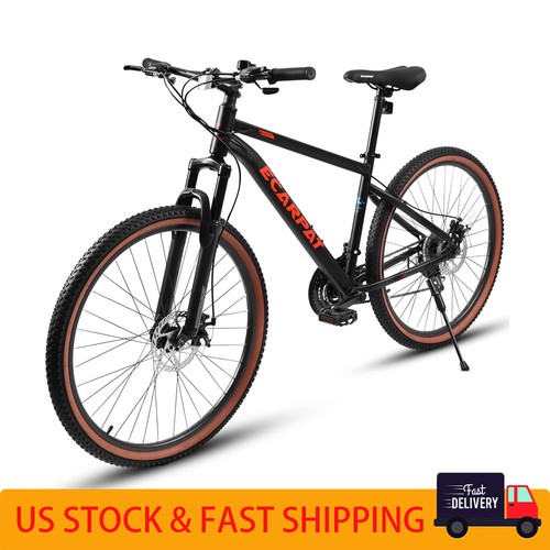 Teenagers mountain bike 21 - 24",