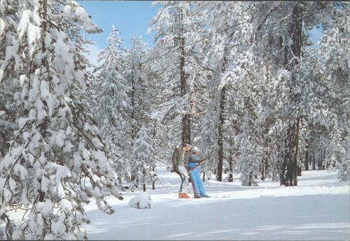Vintage troodos cyprus - vintage,