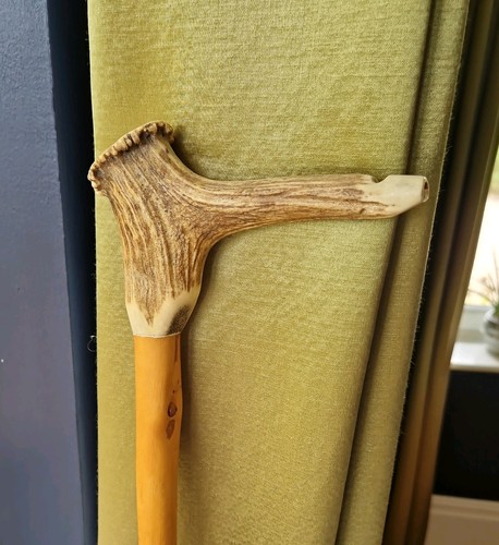 Vintage stag horn antler - stag,