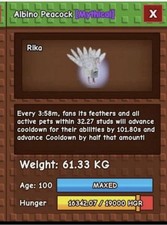 Albino peacock cheapest - peacock, |
